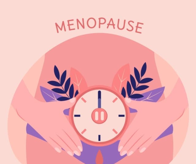 Causes of Menopause